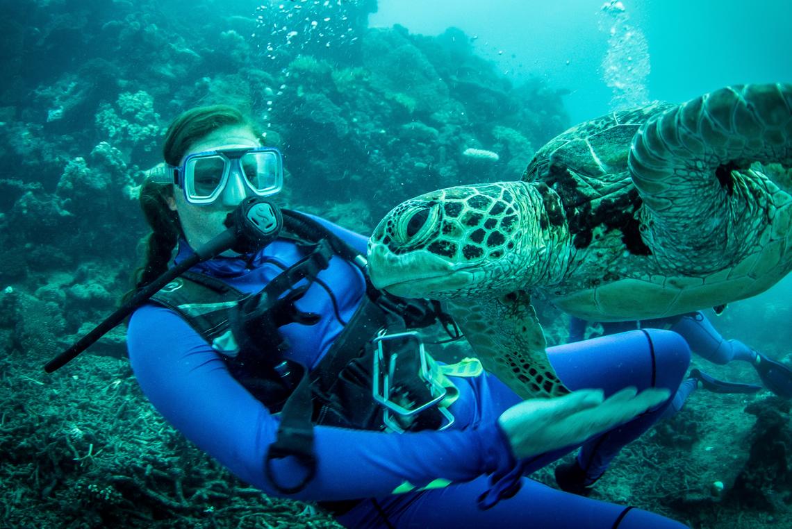 Scuba diving with a sea turtle in Australia