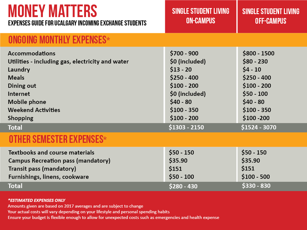Chart depicting monthly expenses for exchange students