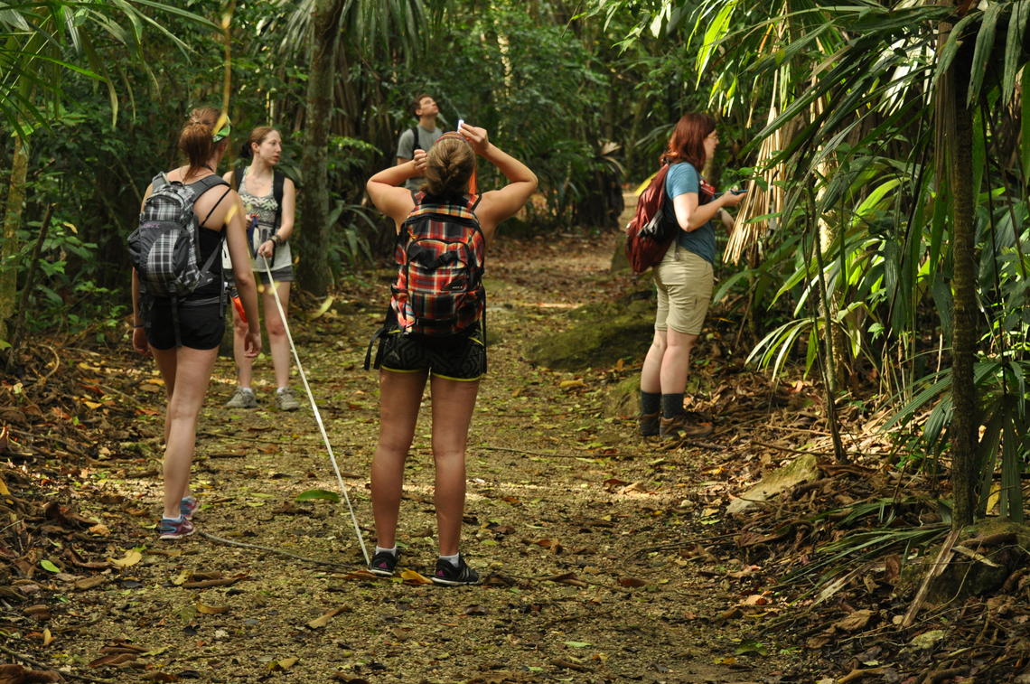 image of students in rainforest looking up binoculars