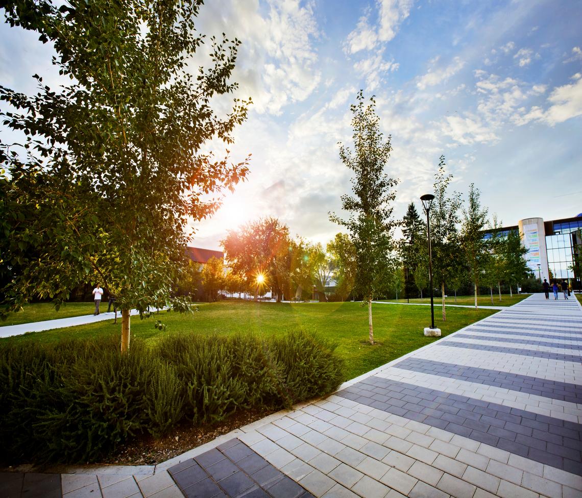 International Services for Staff and Faculty