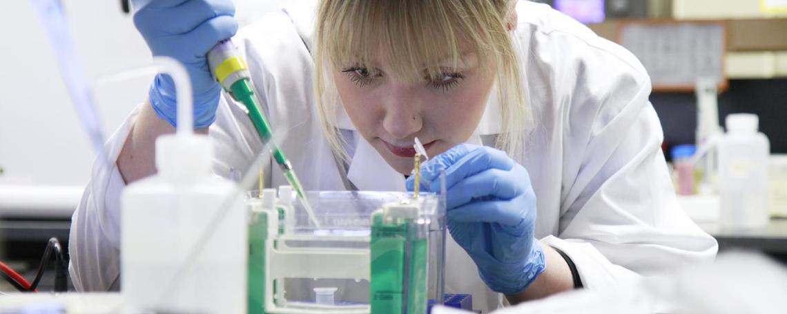 anti-tumour drug research