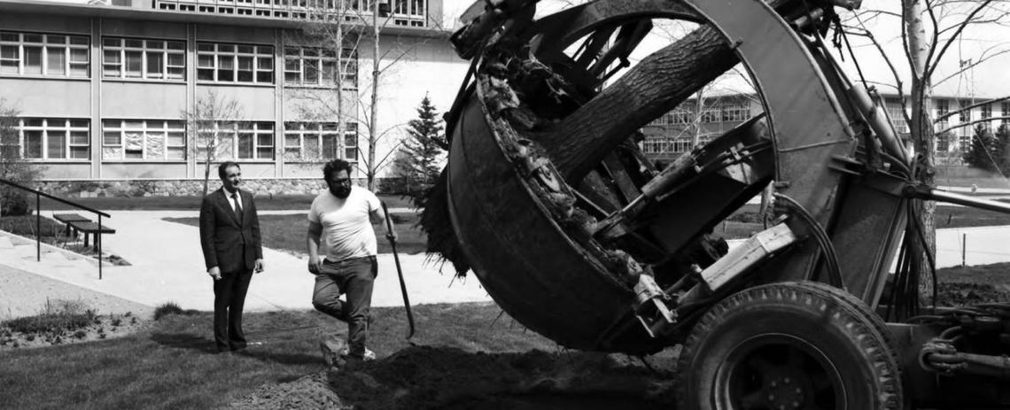 Image_of_mature_deciduous_trees_being_planted_on_campus_0.jpg