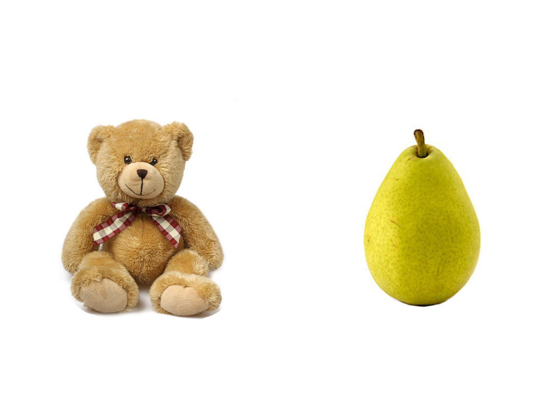 Bear Pear Image of a Bear and a Pear