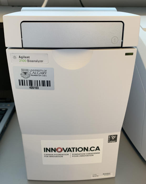 Agilent 2100 Bioanalyzer
