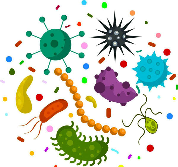 bioinformatics bioinformatics
