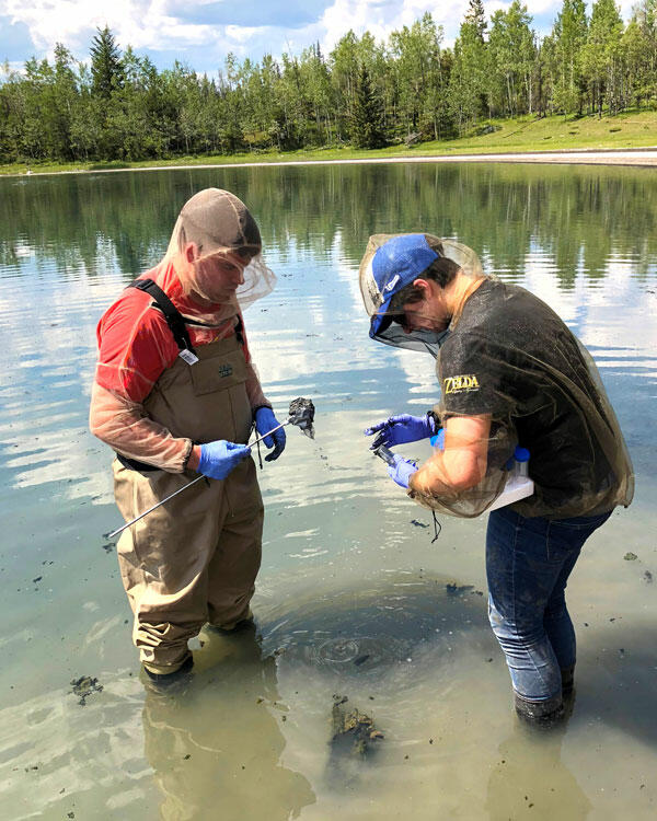 soda lake sampling soda Lake Sampling