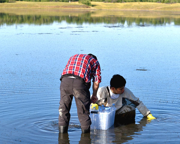 soda lake sampling soda lake sampling
