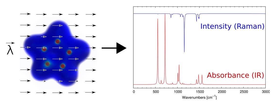 Simulation of IR and Raman vibrational spectra of pyrrole Electron density being distorted by the effect of an external perturbation. the response to such perturbations can be used to predict IR and Raman spectra