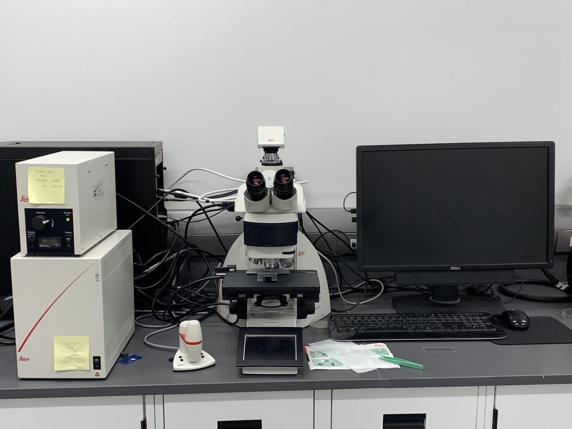 Leica Optical Microscope
