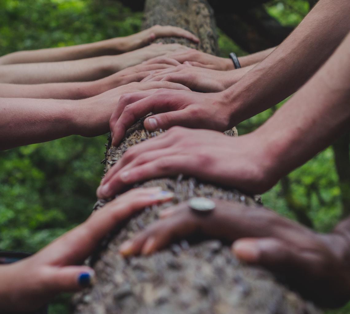 Hands supporting a tree Hands supporting a tree