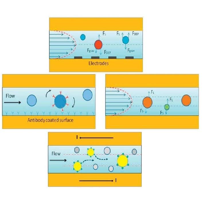 Microfluidic approaches for isolation, detection, and characterization of extracellular vesicles: current status and future directions Microfluidic approaches for isolation, detection, and characterization of extracellular vesicles: current status and future directions