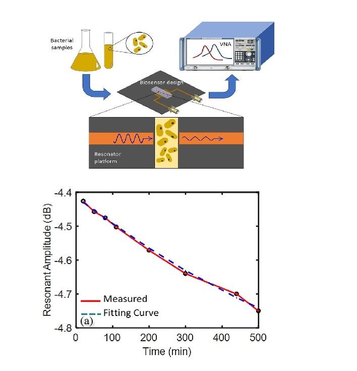 Sensitive, Real-time and non-intrusive detection of concentration and growth of pathogenic bacteria using microfluidic-microwave ring resonator biosensor Sensitive, Real-time and non-intrusive detection of concentration and growth of pathogenic bacteria using microfluidic-microwave ring resonator biosensor