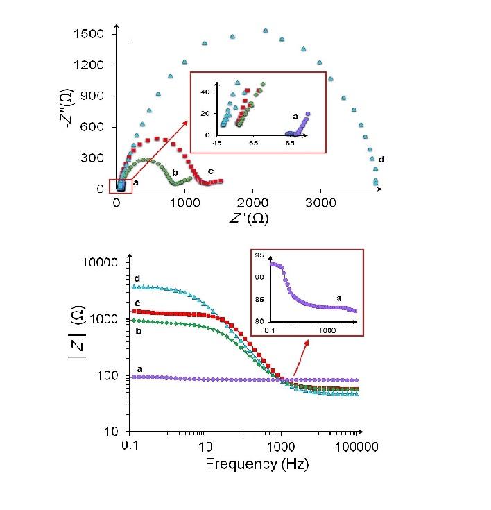 Label-free ultrasensitive detection of breast cancer miRNA-21 biomarker employing electrochemical nano-genosensor based on sandwiched AgNPs in PANI and N-doped graphene Label-free ultrasensitive detection of breast cancer miRNA-21 biomarker employing electrochemical nano-genosensor based on sandwiched AgNPs in PANI and N-doped graphene