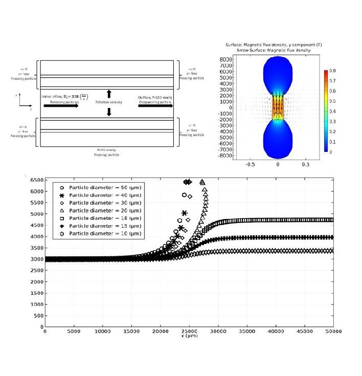 Delivery of magnetic micro/nanoparticles and magnetic-based drug/cargo into arterial flow for targeted therapy Delivery of magnetic micro/nanoparticles and magnetic-based drug/cargo into arterial flow for targeted therapy