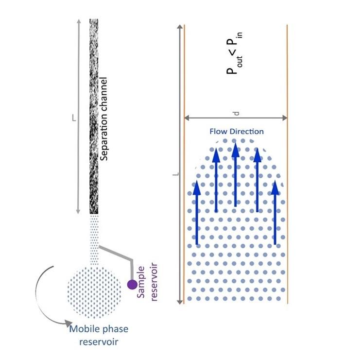 On-chip chromatography with nanomaterials