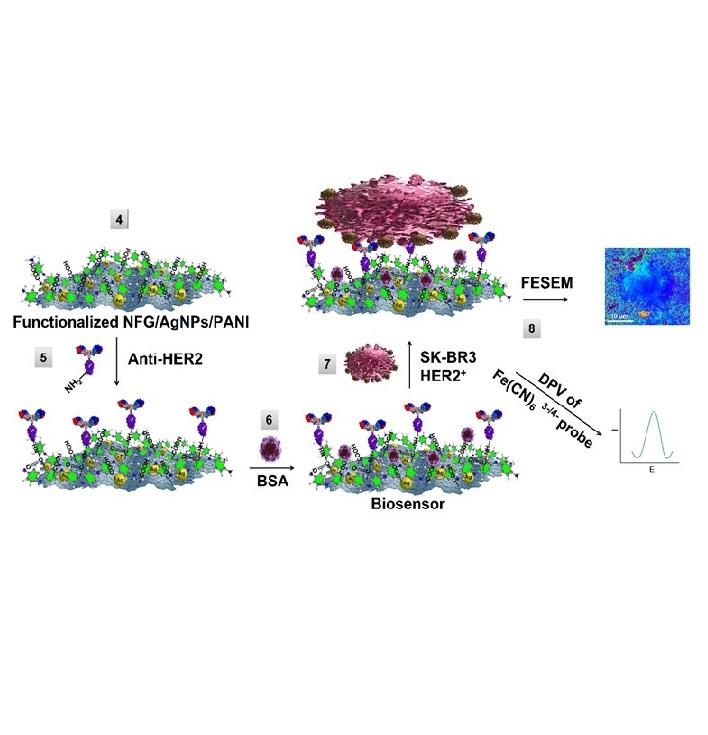 Nano-biosensor for highly sensitive detection of HER2 positive breast cancer