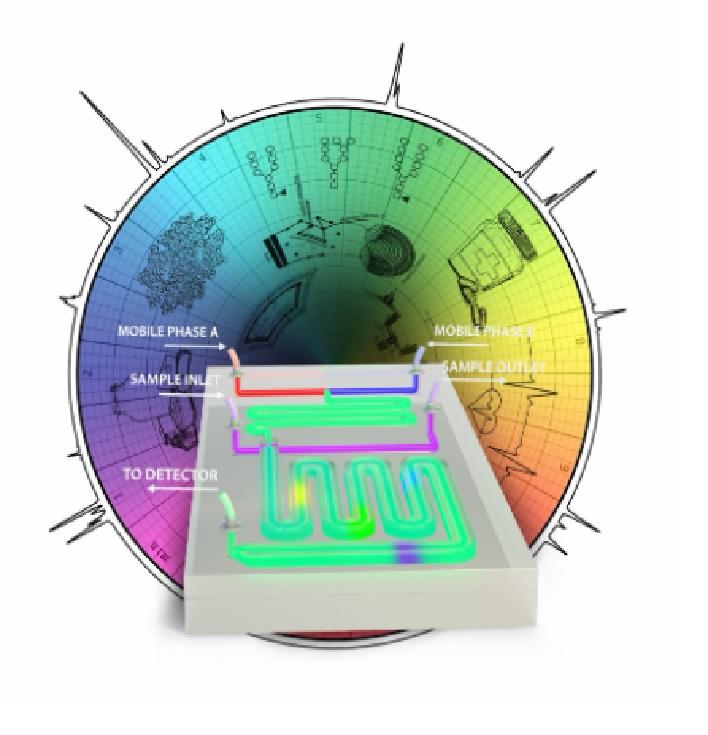 Towards fully integrated liquid chromatography on a chip: evolution and evaluation Towards fully integrated liquid chromatography on a chip: evolution and evaluation
