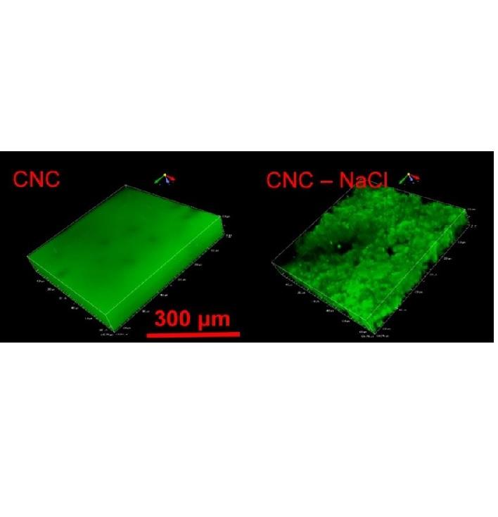 Monitoring Colloidal Behavior of Cellulose Nanocrystals in Presence of Sodium Chloride Monitoring Colloidal Behavior of Cellulose Nanocrystals in Presence of Sodium Chloride