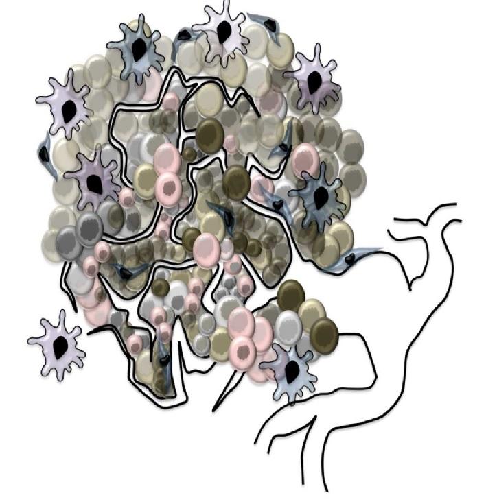 Translational models of tumor angiogenesis: a nexus of in silico and in vitro models