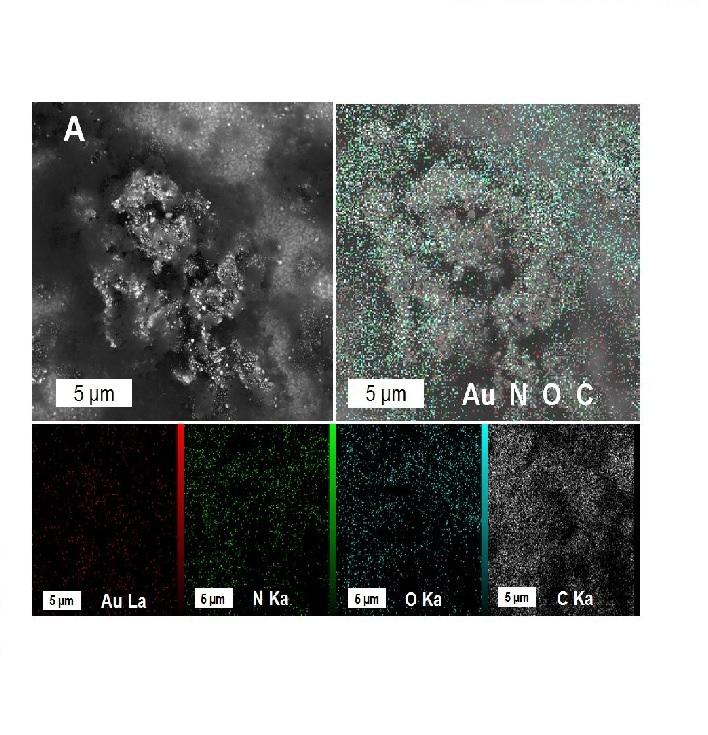 A novel graphene-grafted gold nanoparticles composite for highly sensitive electrochemical biosensing A novel graphene-grafted gold nanoparticles composite for highly sensitive electrochemical biosensing