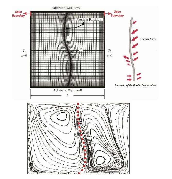 Fluid-structure interaction analysis of buoyancy-driven fluid and heat transfer through an enclosure with a flexible thin partition Fluid-structure interaction analysis of buoyancy-driven fluid and heat transfer through an enclosure with a flexible thin partition