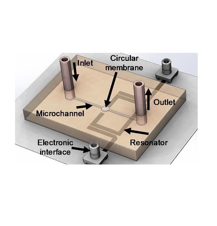 Noncontact and nonintrusive microwave-microfluidic flow sensor for energy and biomedical engineering Noncontact and nonintrusive microwave-microfluidic flow sensor for energy and biomedical engineering