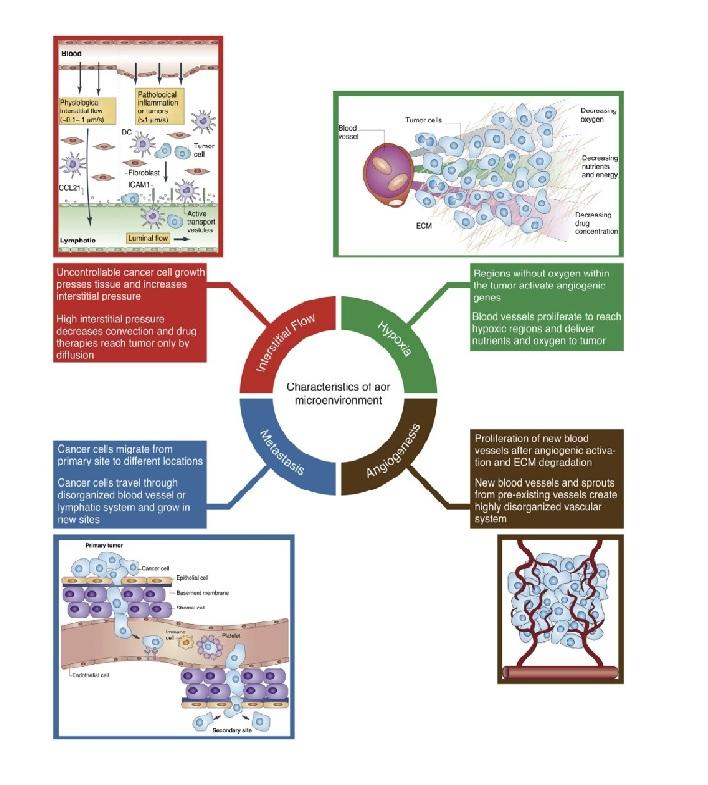 Microfluidic technologies for anticancer drug studies Microfluidic technologies for anticancer drug studies
