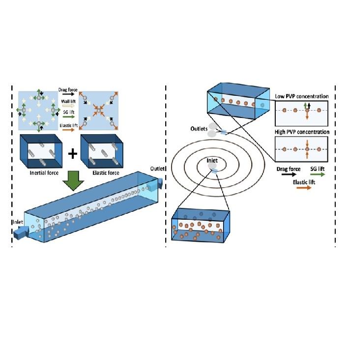 Manipulation of micro and nano-particles in viscoelastic fluid flows within microfluid systems Manipulation of micro and nano-particles in viscoelastic fluid flows within microfluid systems