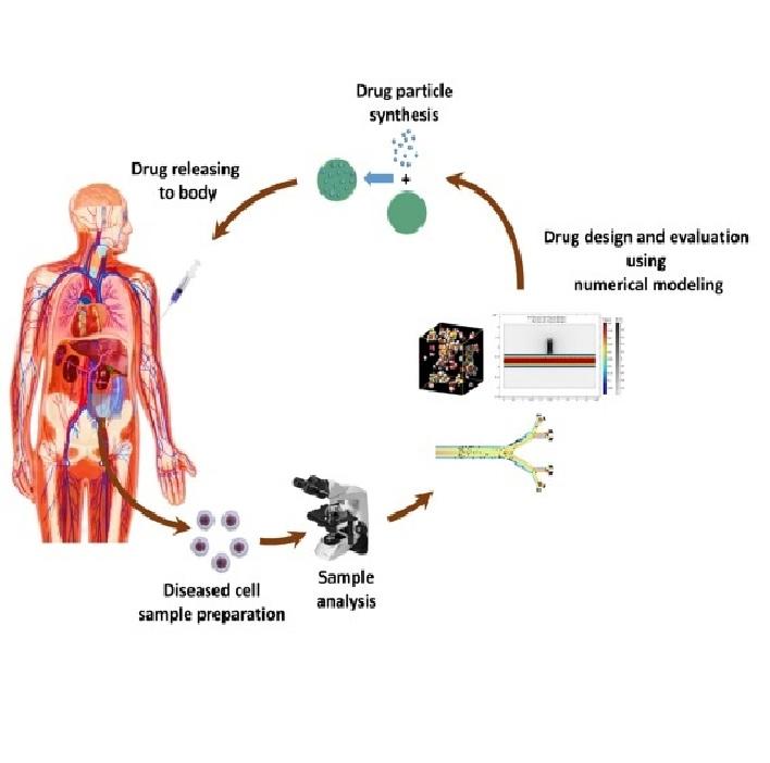 Mathematical and computational modeling of nano-engineered drug delivery systems Mathematical and computational modeling of nano-engineered drug delivery systems
