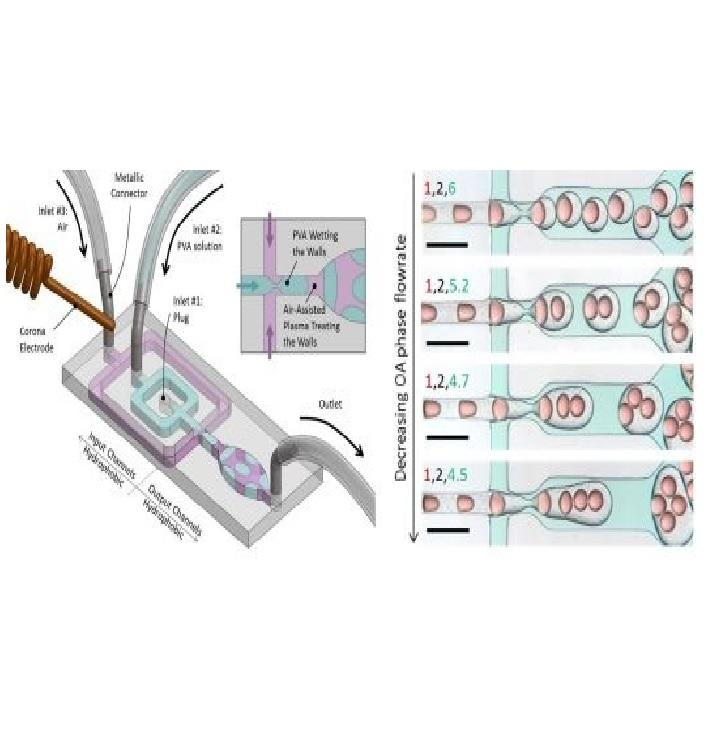 One-step wettability patterning of pdms microchannels for generation of monodisperse alginate microbeads by in situ external gelation in double emulsion microdroplets One-step wettability patterning of pdms microchannels for generation of monodisperse alginate microbeads by in situ external gelation in double emulsion microdroplets