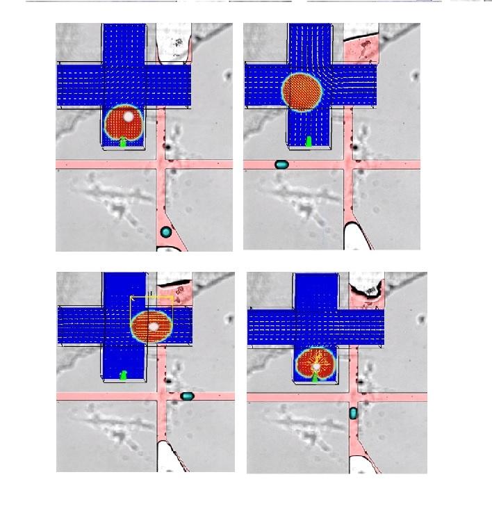 Passive microinjection within high-throughput microfluidics for controlled actuation of droplets and cells Passive microinjection within high-throughput microfluidics for controlled actuation of droplets and cells