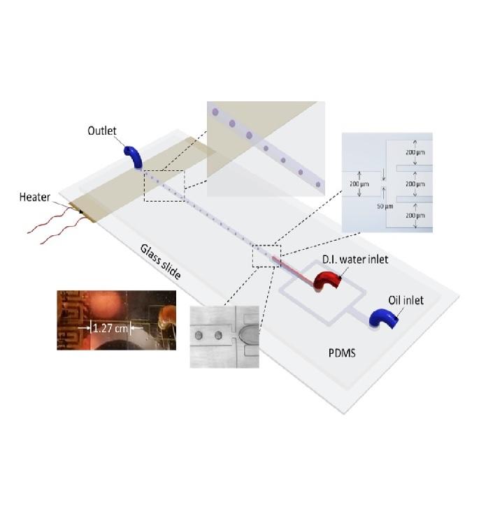 Dynamics of temperature-actuated droplets within microfluidics Dynamics of temperature-actuated droplets within microfluidics