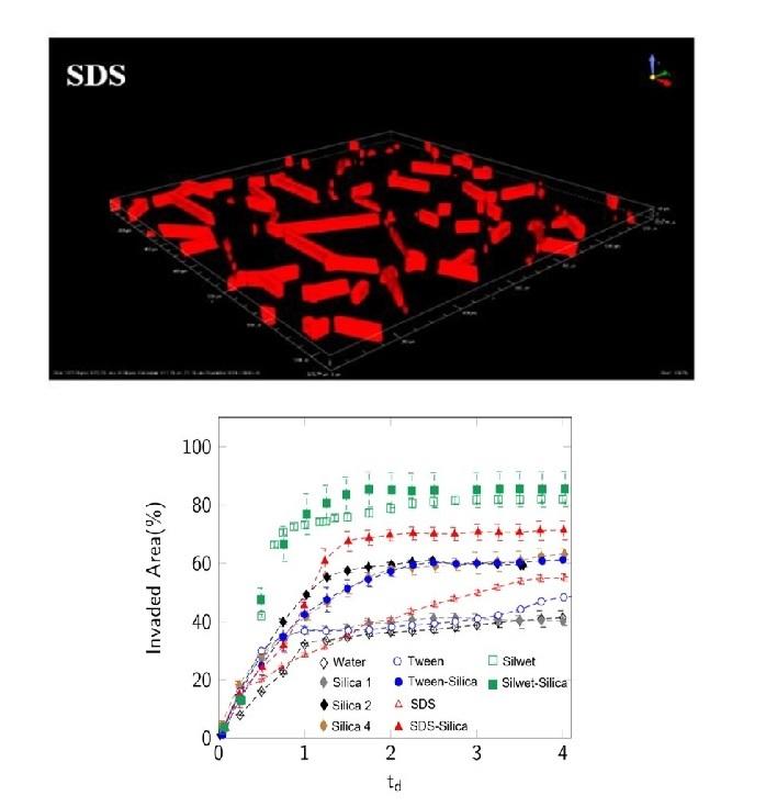 Wetting phase disintegration and detachment: Three-dimensional confocal imaging of two phase distributions Wetting phase disintegration and detachment: Three-dimensional confocal imaging of two phase distributions