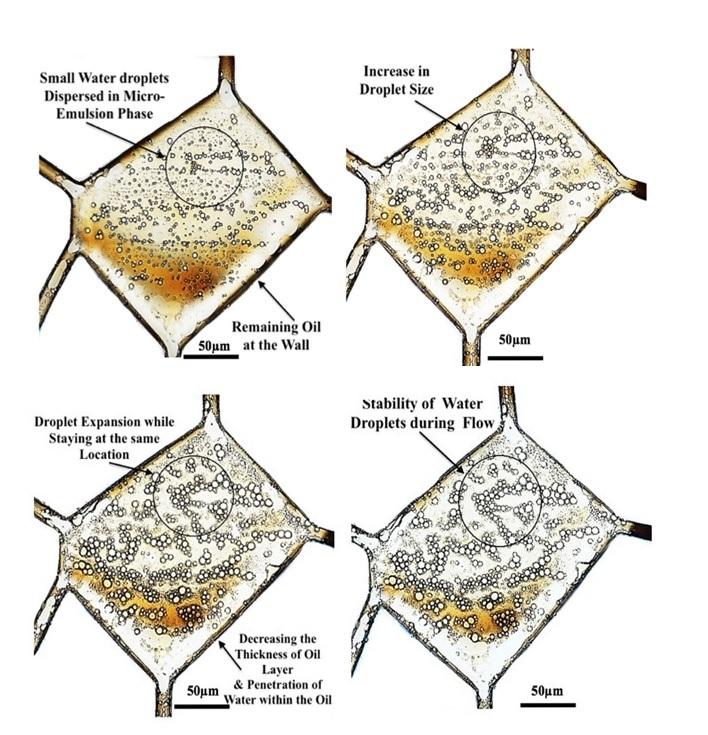 Role of chemical additives on water-based heavy oil mobilization: a microfluidic approach Role of chemical additives on water-based heavy oil mobilization: a microfluidic approach