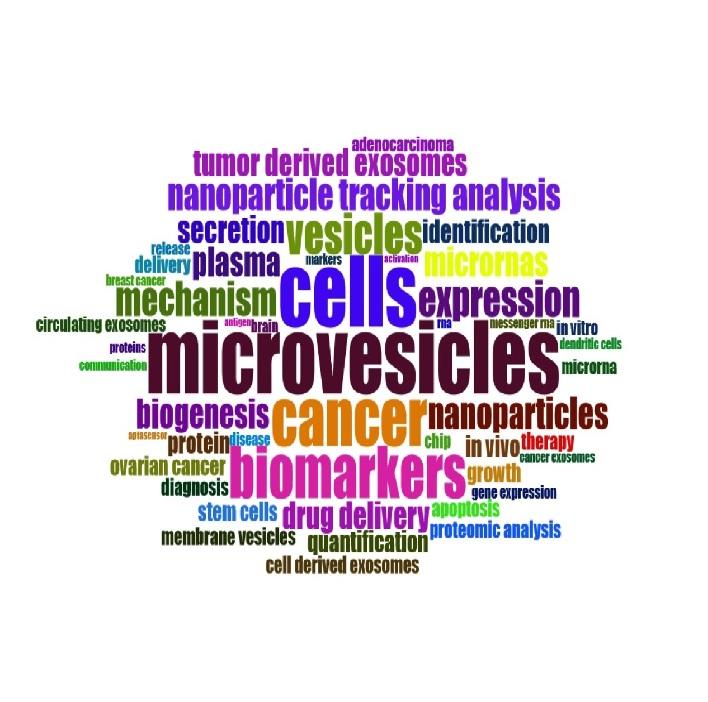 Publication trends in Exosomes nanoparticles for cancer detection Publication trends in Exosomes nanoparticles for cancer detection