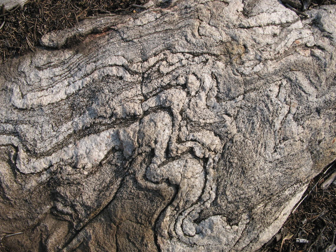 FF gneiss