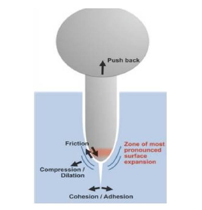 Tip growth in walled cells: cellular expansion and invasion mechanisms. Pelling AE, Cuerrier CM. Cells, Forces, and the Microenvironment Tip growth in walled cells: cellular expansion and invasion mechanisms. Pelling AE, Cuerrier CM. Cells, Forces, and the Microenvironment