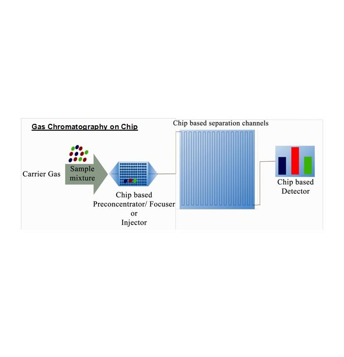 Through the years with on a chip gas chromatograph: a review Through the years with on a chip gas chromatograph: a review