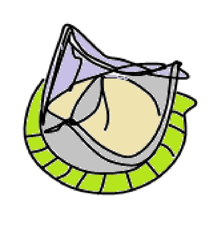 Micro and nanotechnologies in heart valve tissue engineering