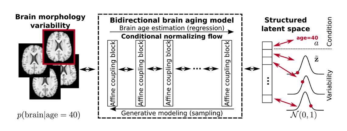 bidirectional model bidirectional model