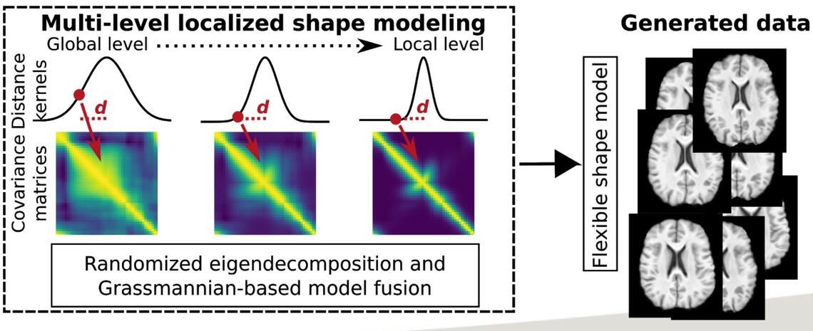 shape covariance shape covariance