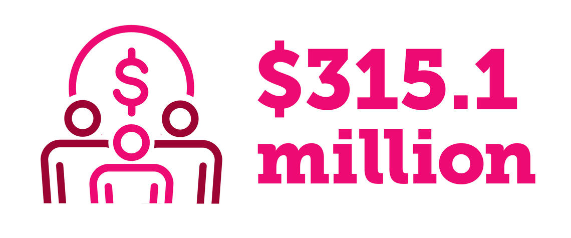 $315.1 million $315.1 million