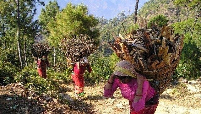 Forest livelihoods in Nepal Forest livelihoods in Nepal