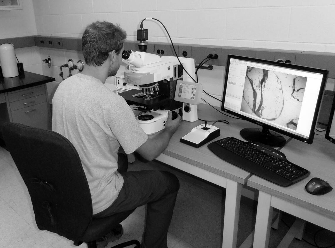 Student sitting at optical binocular microscope counting fission tracks. A computer screen to their right displays a large grain with low fission-track density
