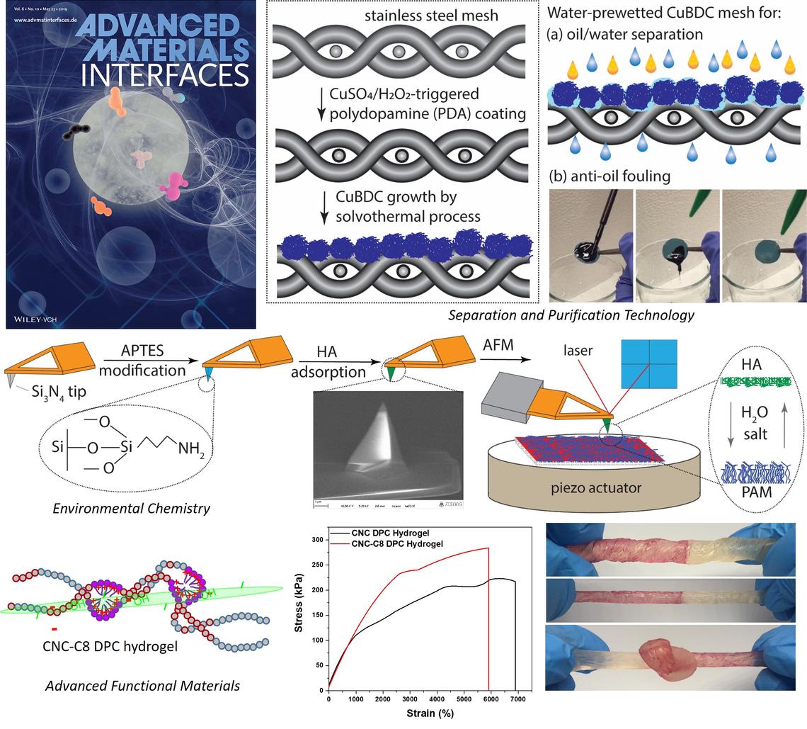 Interaction and Functional Materials Interaction and Functional Materials