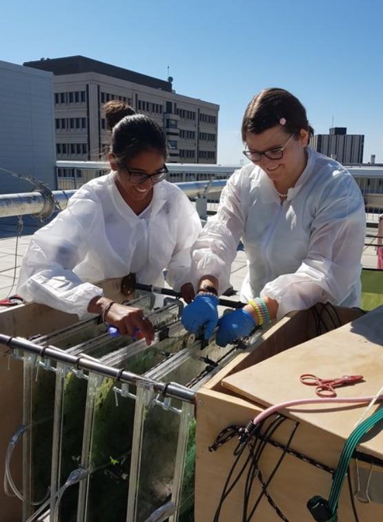 Undergraduate Research in the Strous Lab