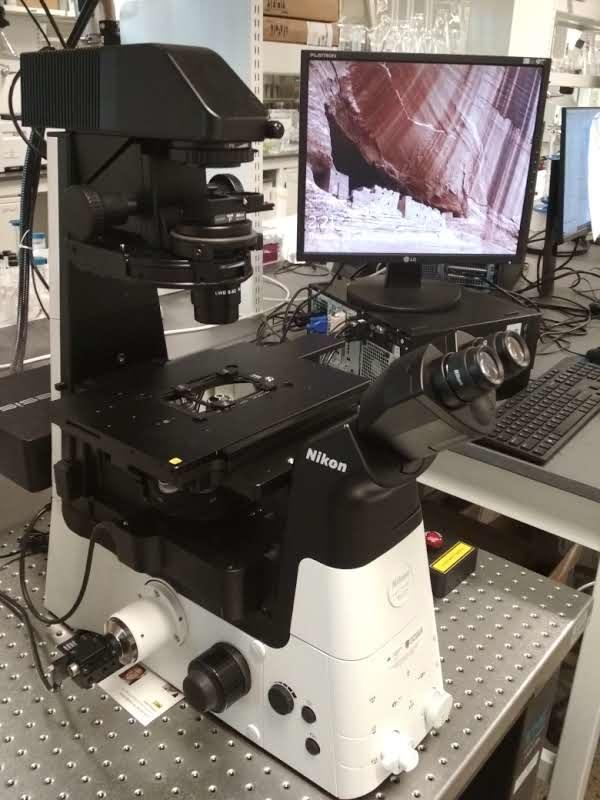 ECLIPSE Ti2-A Inverted Microscope ECLIPSE Ti2-A Inverted Microscope