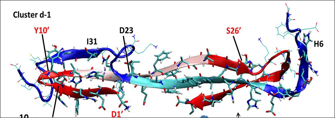 Ab(1-42) dimer from MD simulations