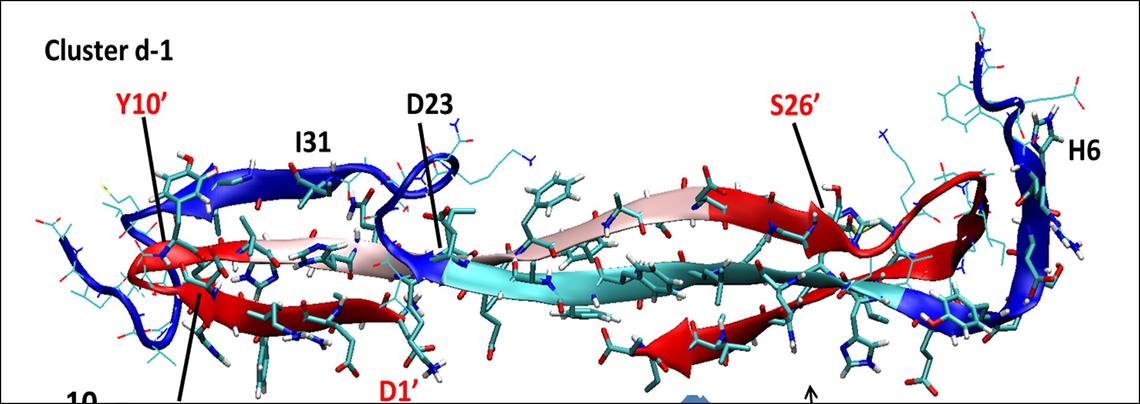 Ab(1-42) dimer from MD simulations Ab(1-42) dimer from MD simulations