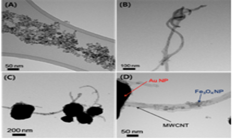 TEM Images of (A) Iron Oxide NP, (B) MWCNT, (C) IA-CNT (low mag) and (D) IA-CNT (high mag)